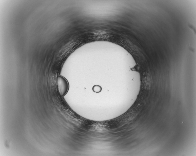 X0000101680756200807311519