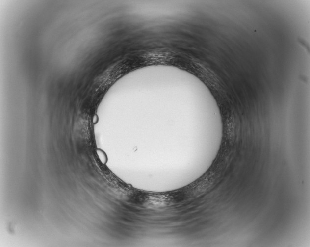 X0000101680757200807311519