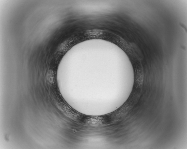 X0000101680758200807311519