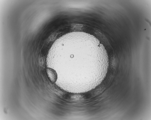 X0000101680759200807311519