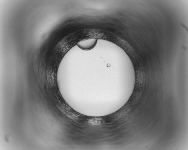 X0000101680761200807311519