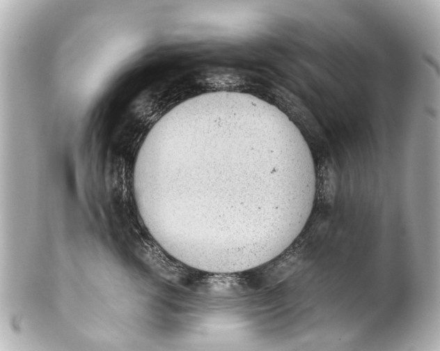 X0000101680762200807311519