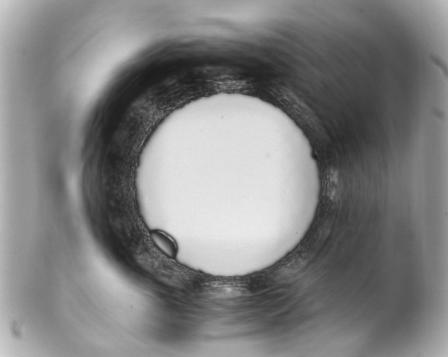 X0000101680763200807311519