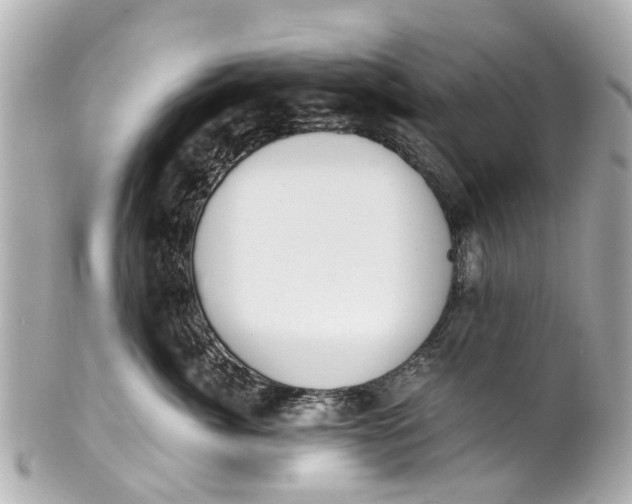 X0000101680764200807311519