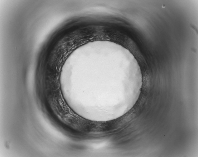 X0000101680765200807311519