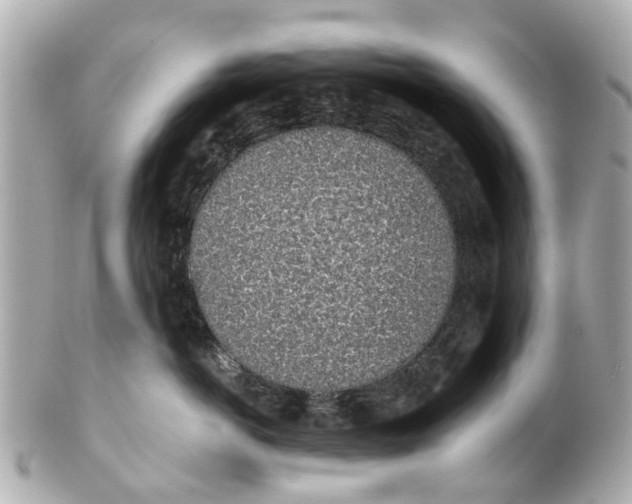 X0000101680766200807311519