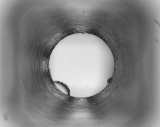 X0000101680768200807311519