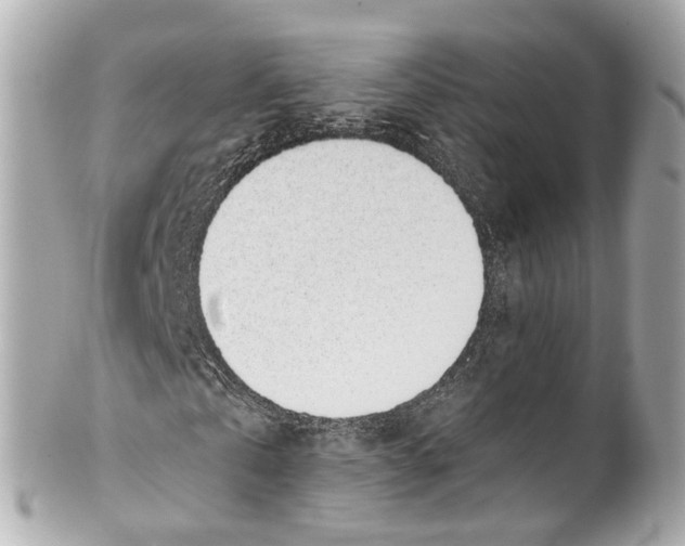 X0000101680769200807311518