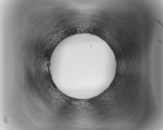 X0000101680770200807311518