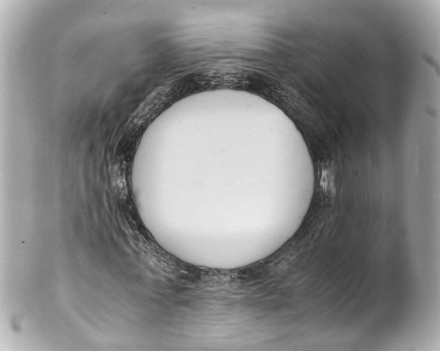 X0000101680771200807311518