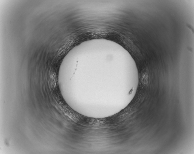 X0000101680772200807311518