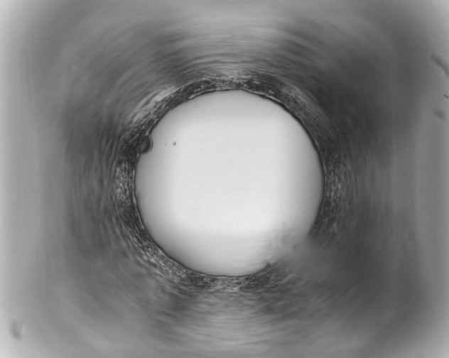 X0000101680773200807311518