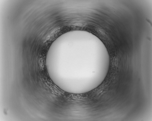 X0000101680774200807311518