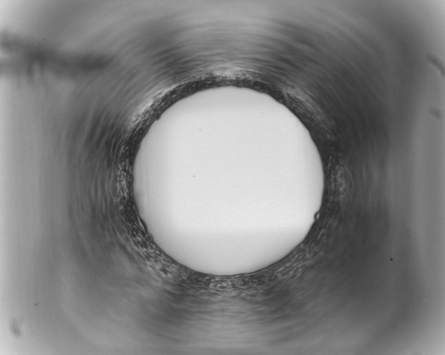 X0000101680776200807311518