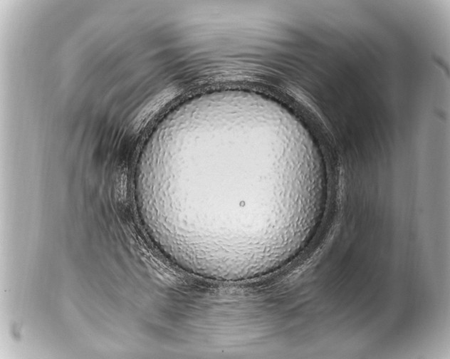 X0000101680777200807311518