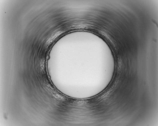 X0000101680778200807311518