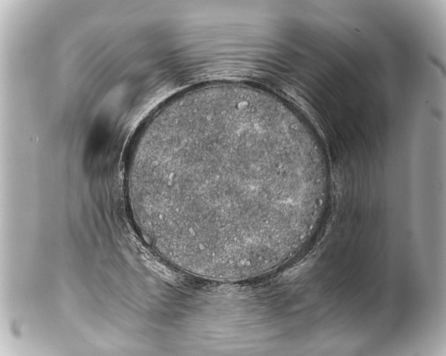 X0000101680779200807311518