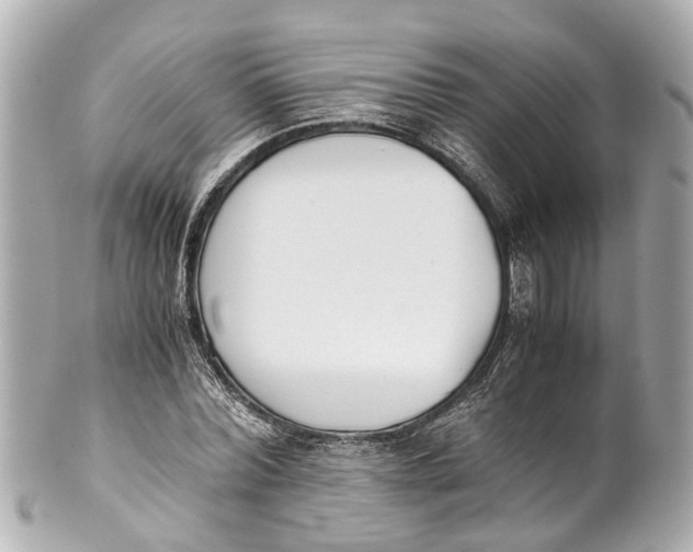 X0000101680780200807311518