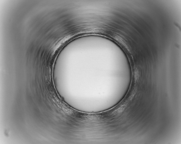 X0000101680781200807311518