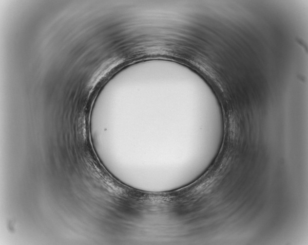 X0000101680782200807311518