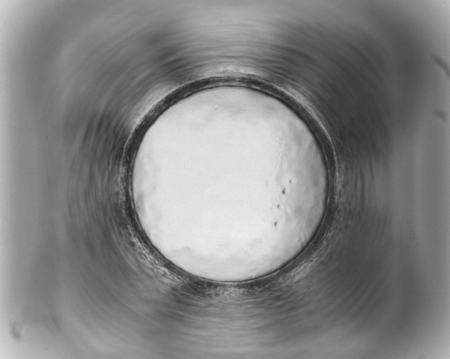 X0000101680783200807311518