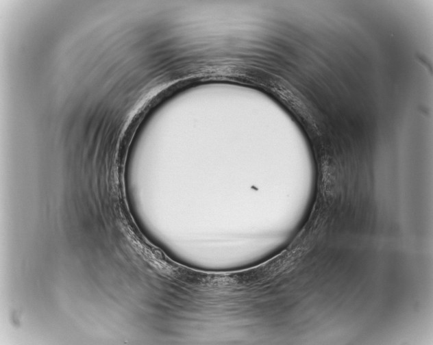 X0000101680784200807311518