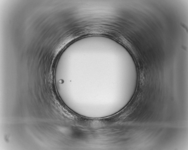 X0000101680787200807311518