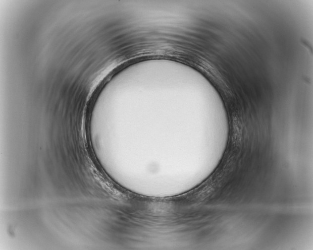 X0000101680788200807311518