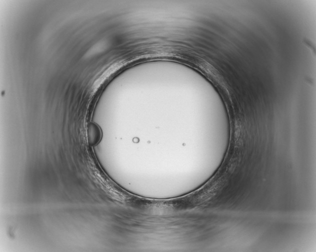 X0000101680789200807311518