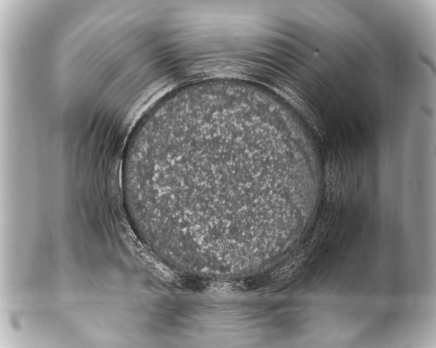 X0000101680790200807311518