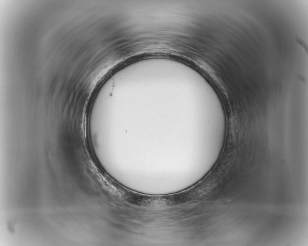 X0000101680791200807311518