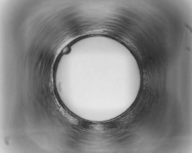 X0000101680792200807311518