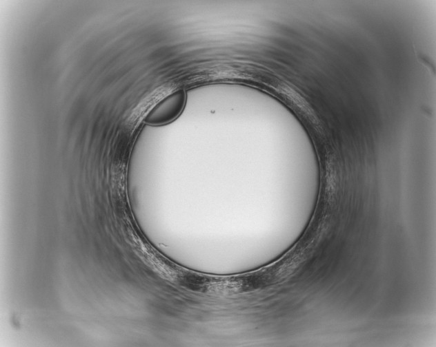 X0000101680793200807311518