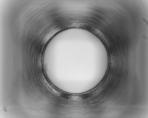 X0000101680794200807311518