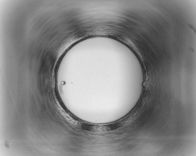 X0000101680795200807311518