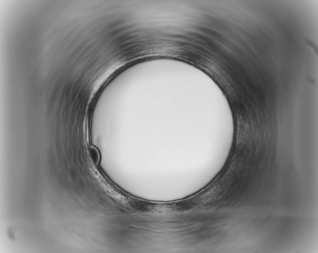 X0000101680796200807311518