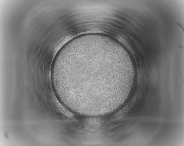 X0000101680797200807311518