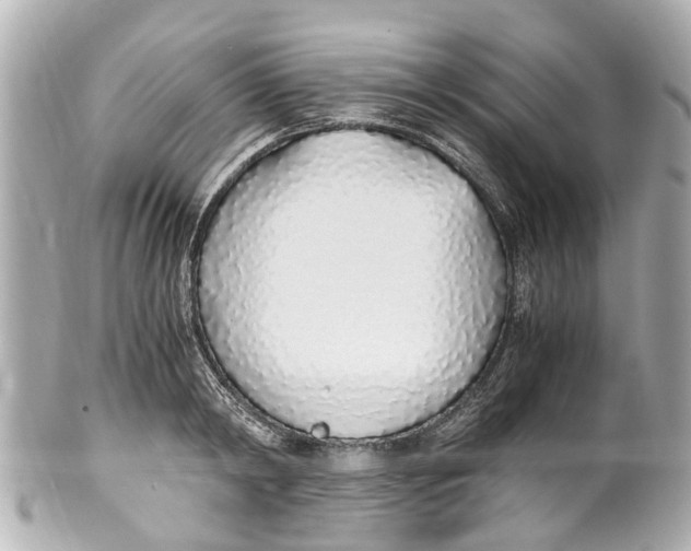 X0000101680798200807311518