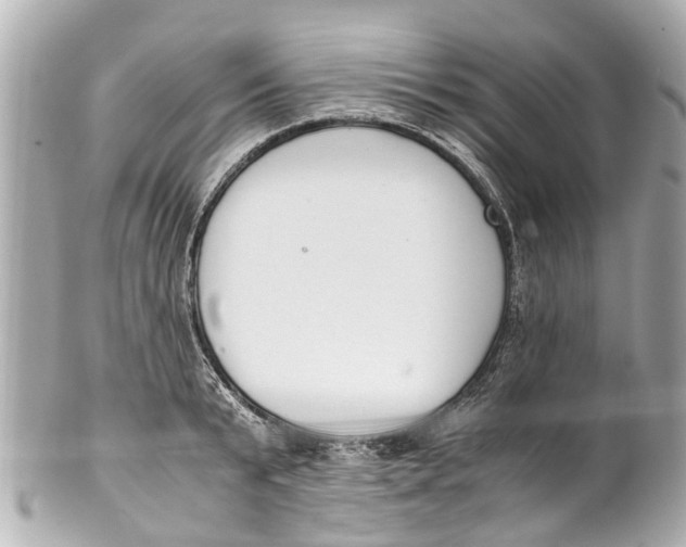 X0000101680799200807311518