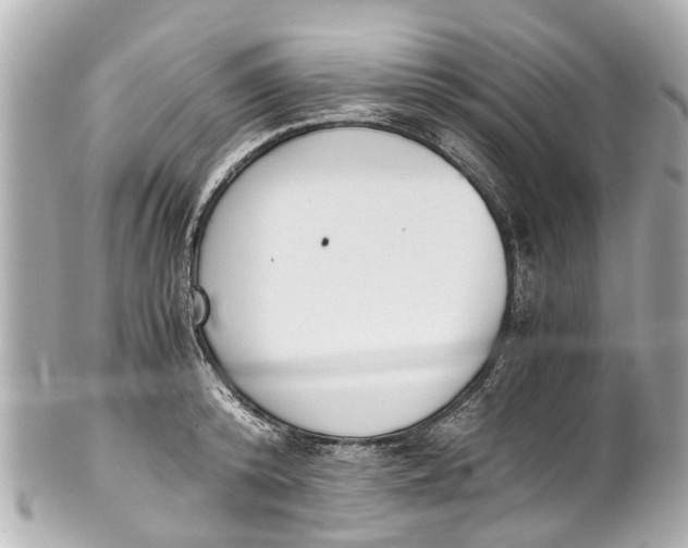 X0000101680800200807311518