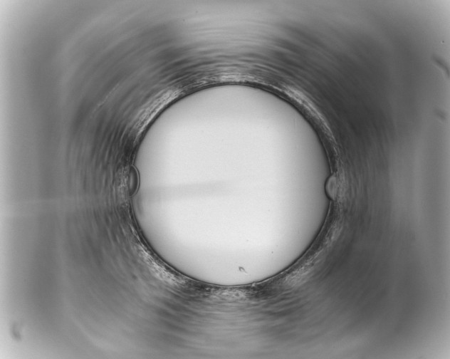 X0000101680801200807311518