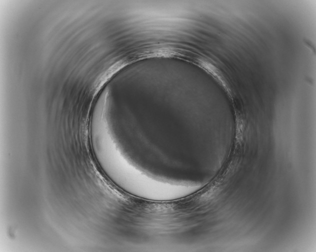 X0000101680802200807311518