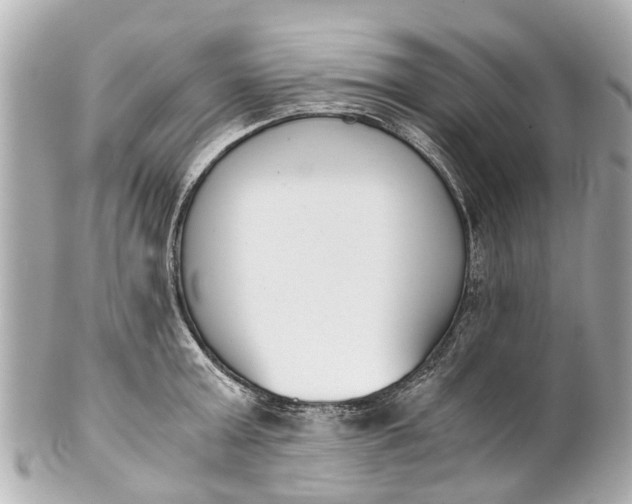 X0000101680803200807311518