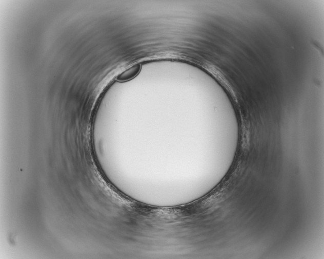 X0000101680805200807311518