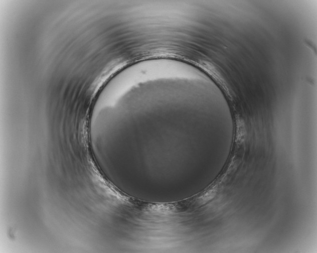 X0000101680806200807311518