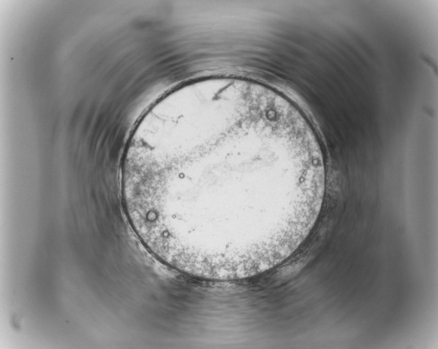 X0000101680807200807311518