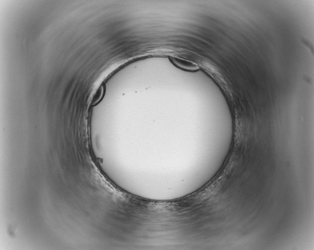 X0000101680808200807311518