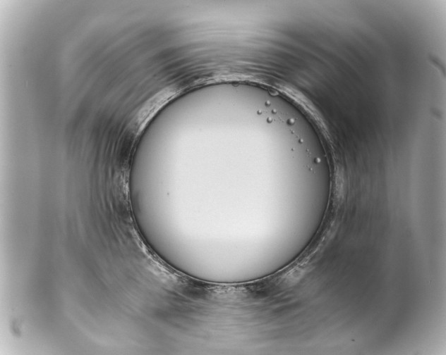 X0000101680809200807311518