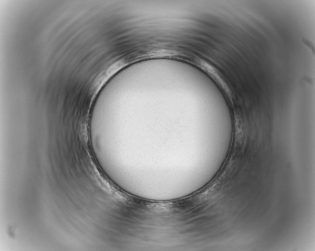 X0000101680810200807311518