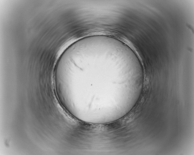 X0000101680811200807311518